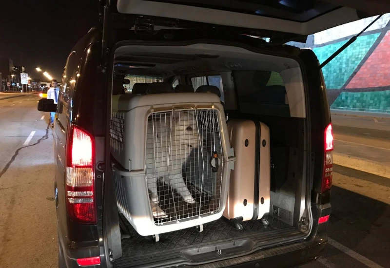 taxi-aeropuerto-8-plazas-maletas-perro