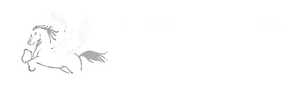 TAXI EXPRESS BCN blanco